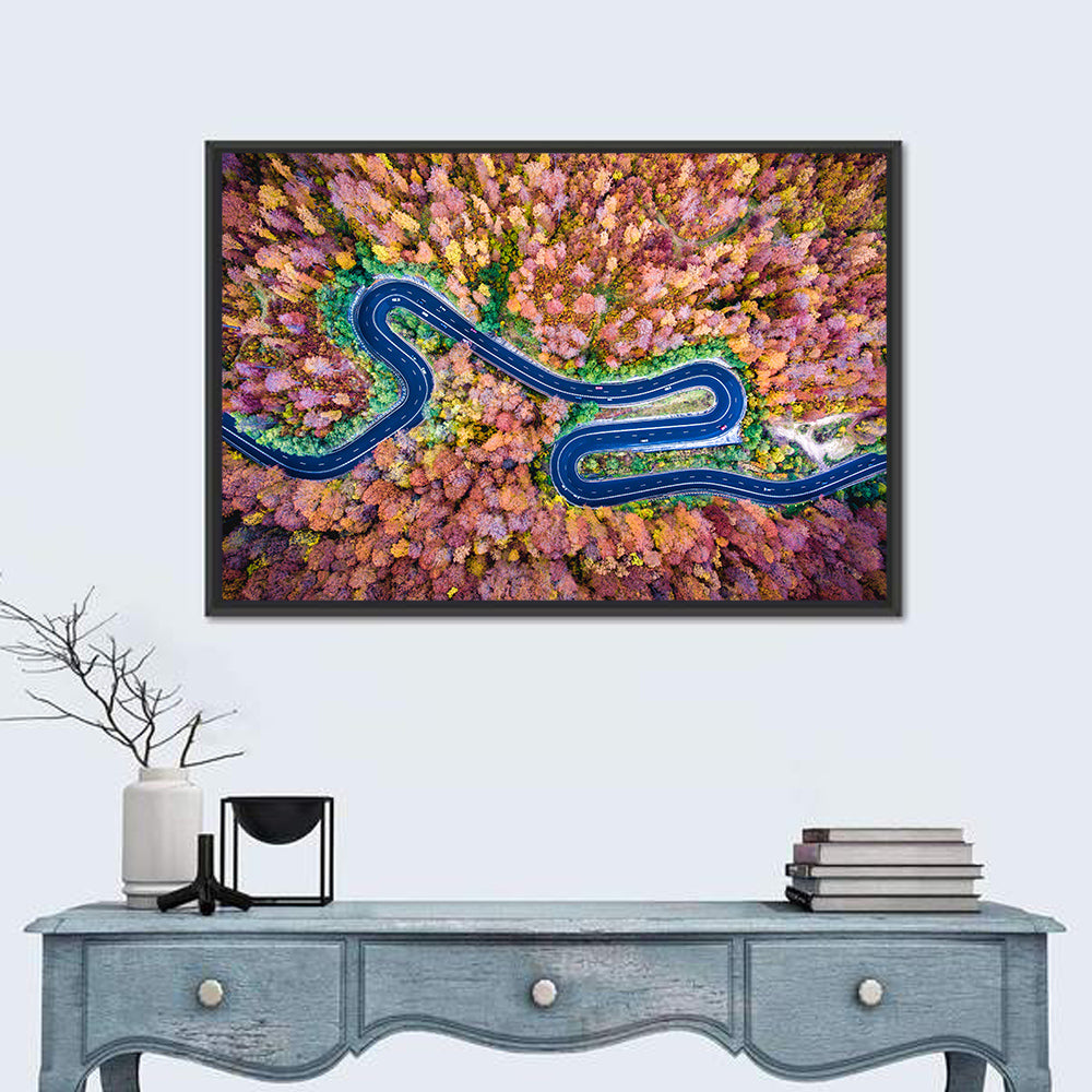 Aerial Winding Road Wall Art
