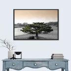 Bonsai Pine in Japanese Garden Wall Art