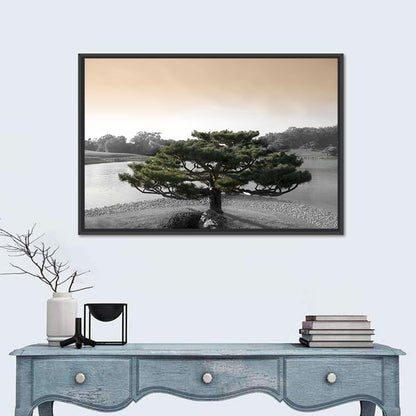 Bonsai Pine in Japanese Garden Wall Art