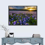 Texas Bluebonnet Field at Sunset Wall Art