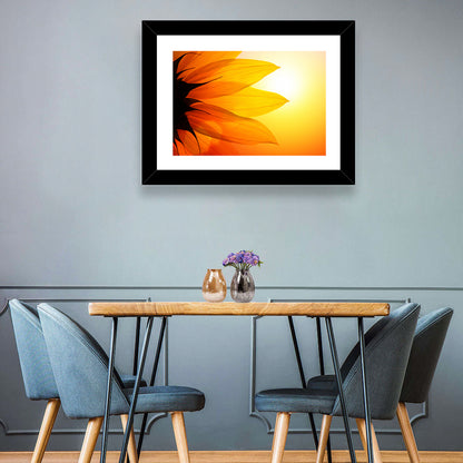 Backlit Sunflower Petals Wall Art