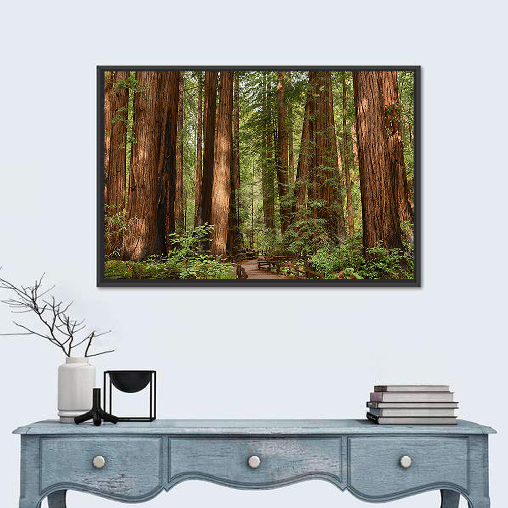 Muir Woods Redwood Trail Wall Art in a room, landscape