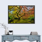 Gnarled Japanese Maple by Garden Pond Wall Art