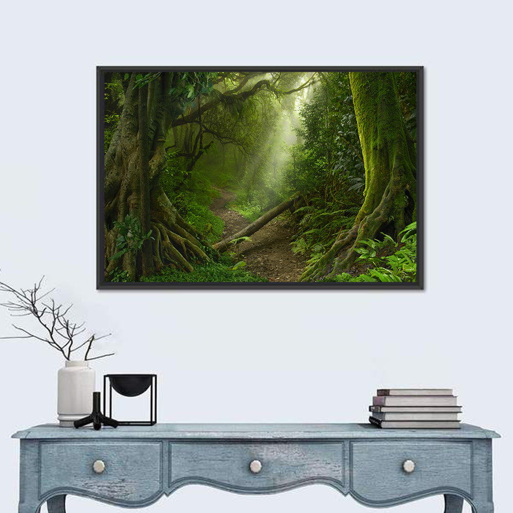Moss-covered Rainforest Path Wall Art in a room, landscape