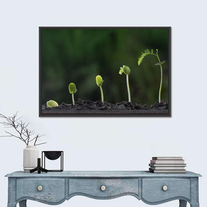 Five-stage Plant Growth Wall Art