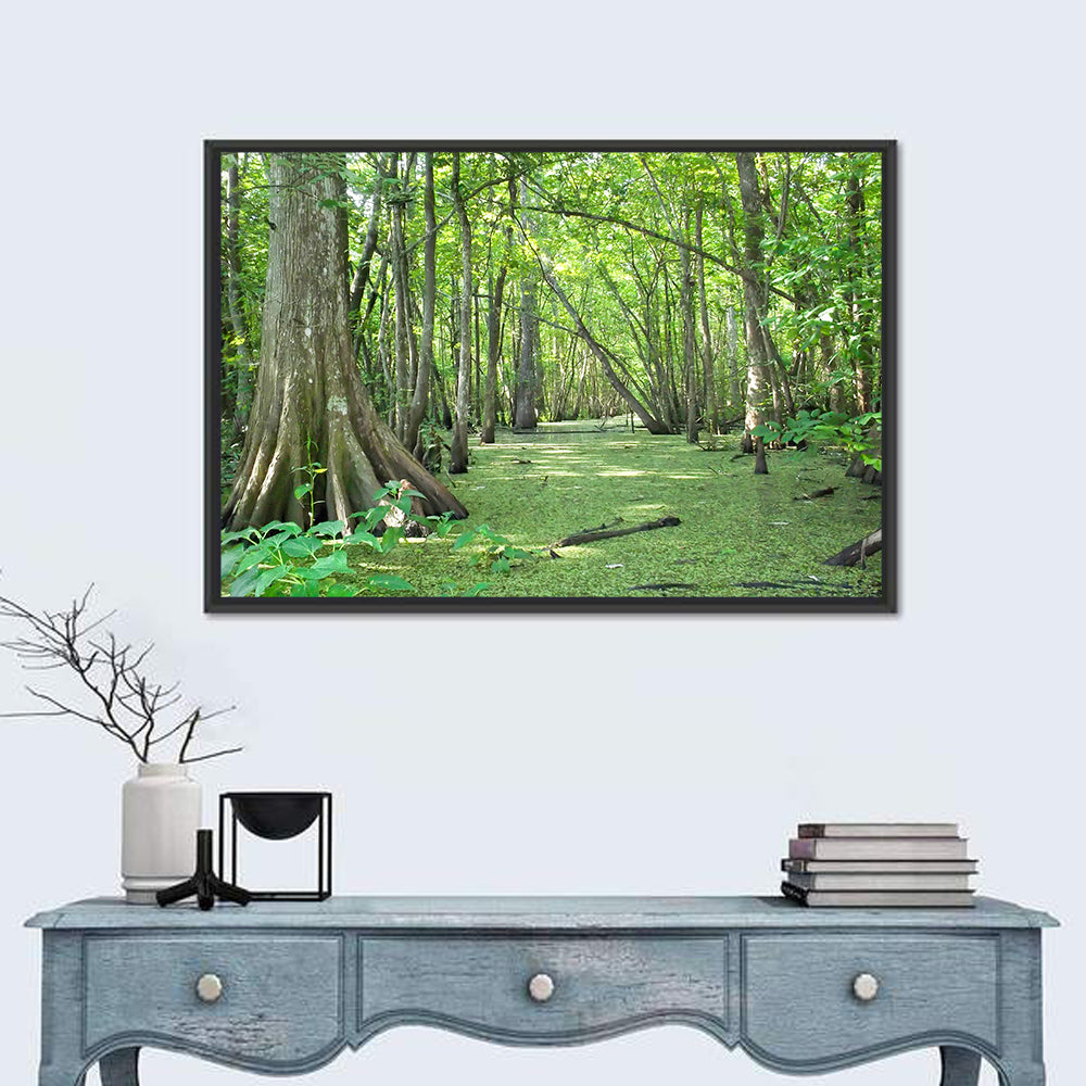 Summer Cypress Bayou, Louisiana Wall Art in a room, landscape