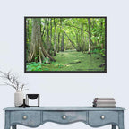 Summer Cypress Bayou, Louisiana Wall Art