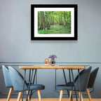 Summer Cypress Bayou, Louisiana Wall Art