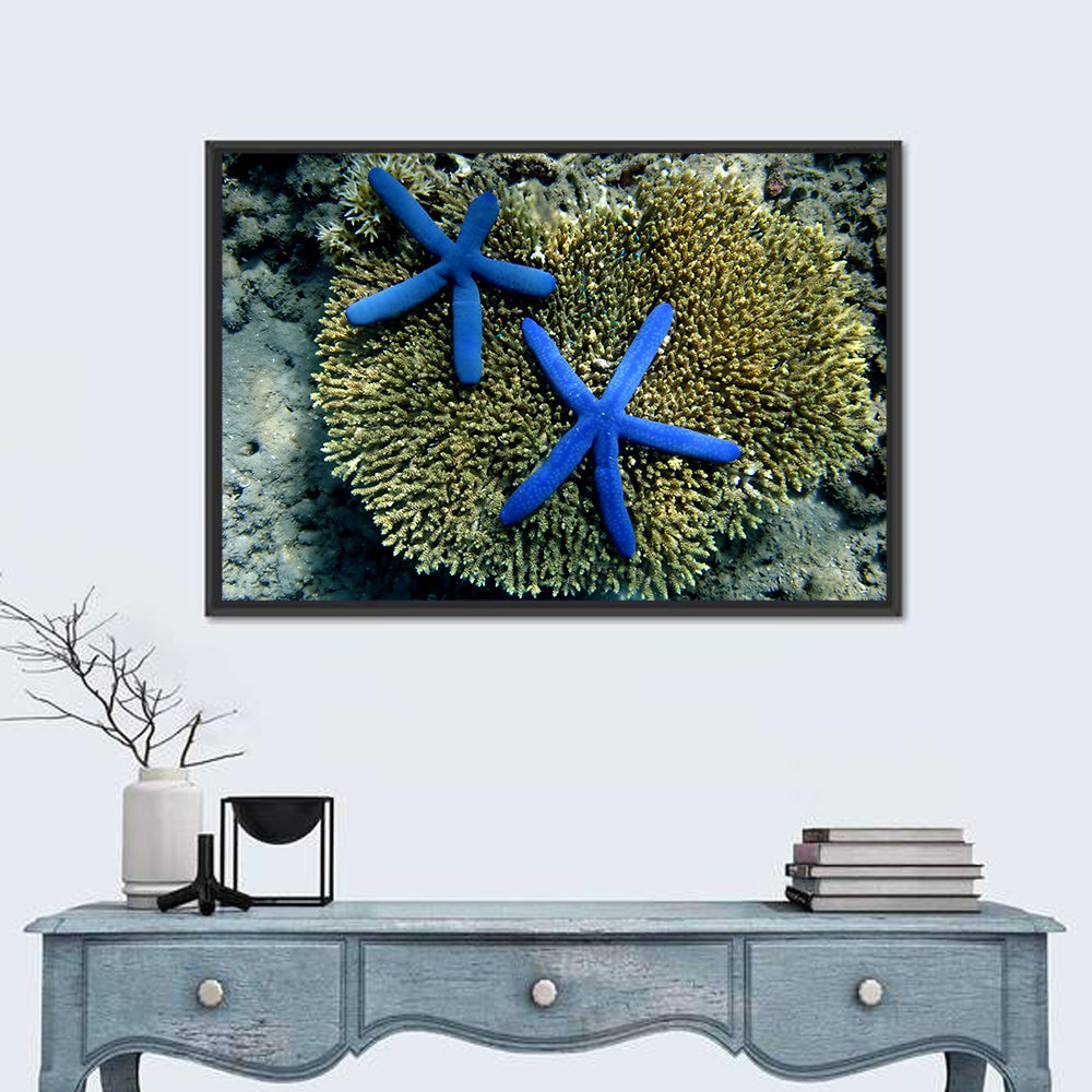Blue Starfish Wall Art in a room, landscape