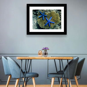 Blue Starfish Wall Art