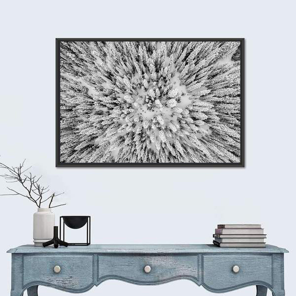 Snowy Aerial Forest Wall Art