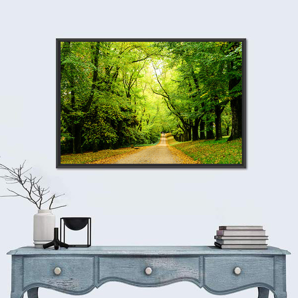 Sunlit Forest Pathway Wall Art in a room, landscape