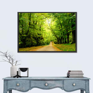 Forest Illuminated Pathway Wall Art