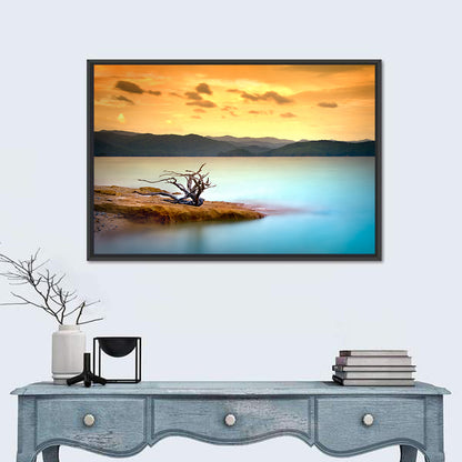 Gnarled Driftwood at Turquoise Lake Wall Art