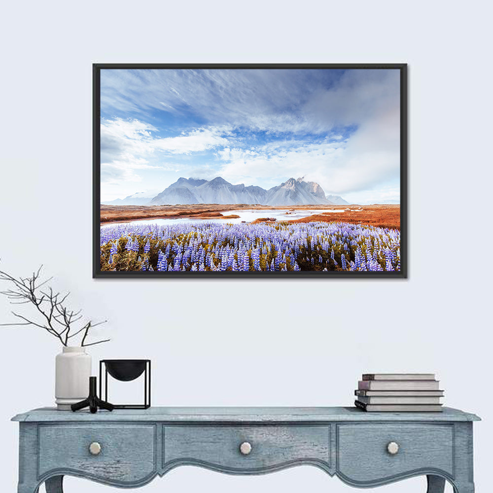 Lupine Fields at Vestrahorn Wall Art