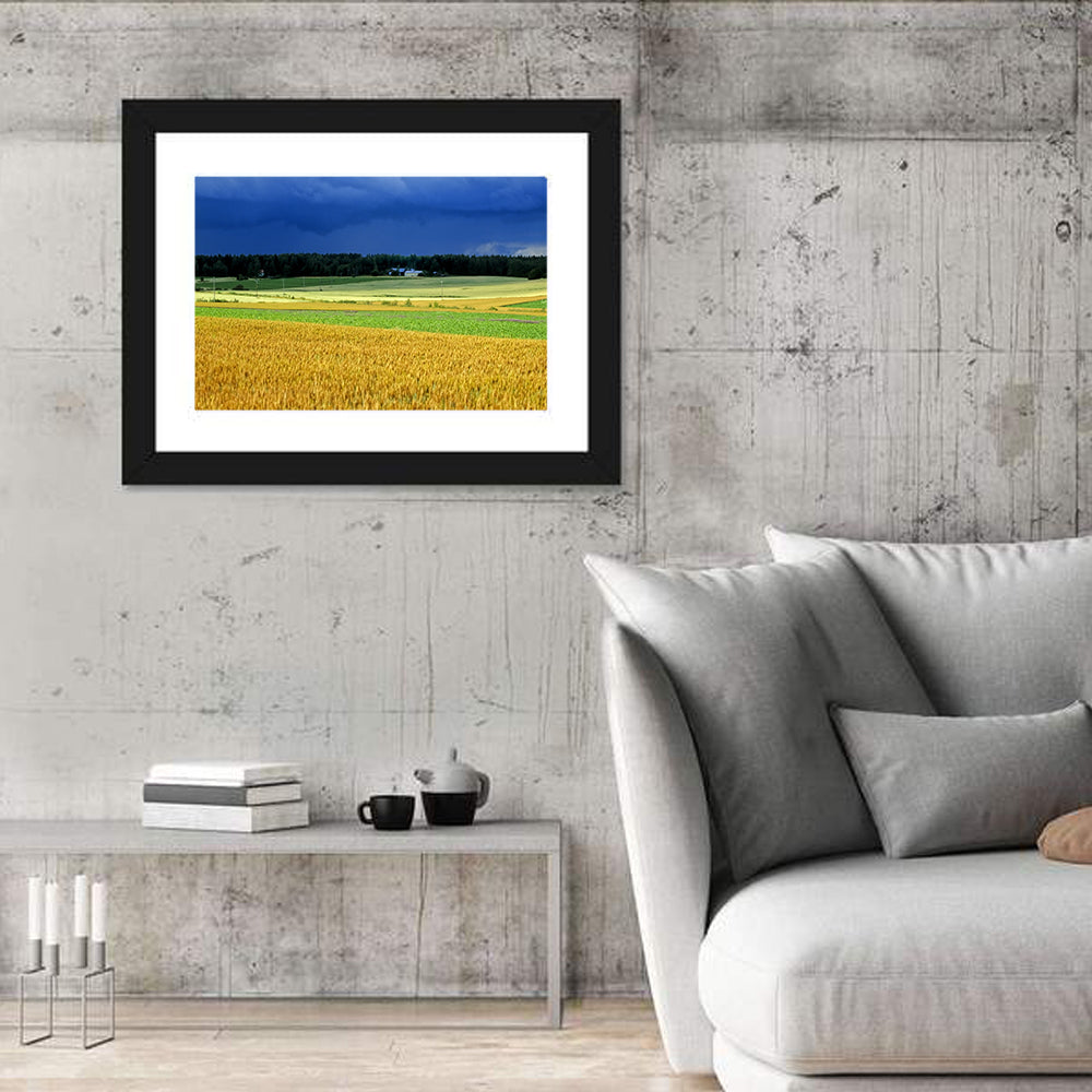 Cornfields Under Stormy Sky Wall Art