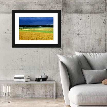 Cornfields Under Stormy Sky Wall Art
