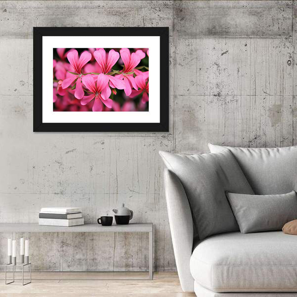 Pink Geranium Close Up Wall Art in a room, landscape