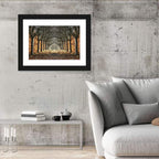 Danish Autumn Tree-lined Path Wall Art