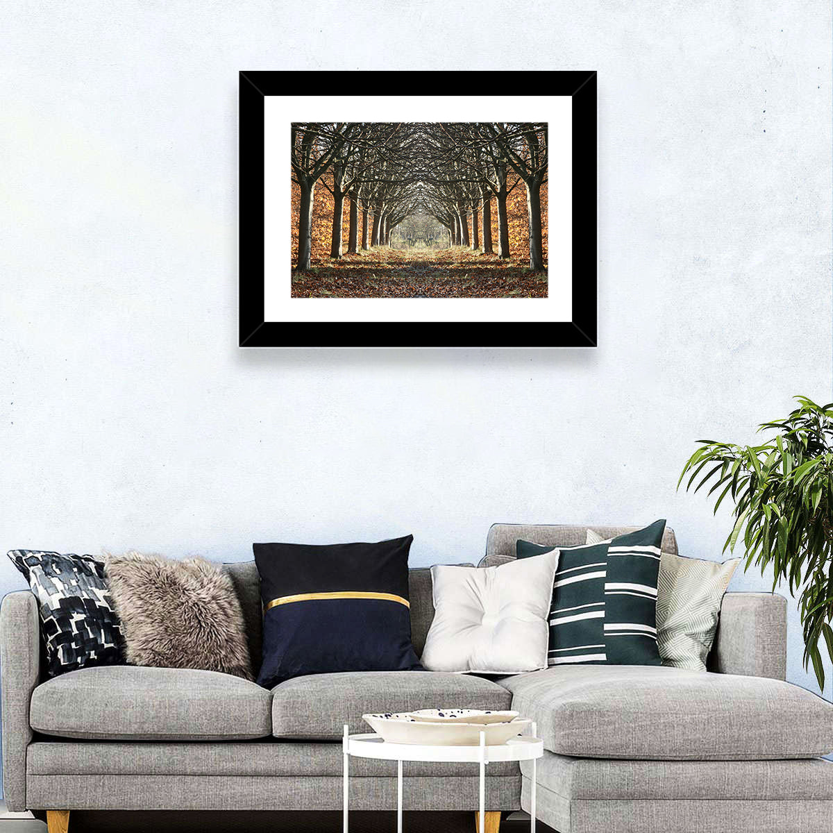 Danish Autumn Tree-lined Path Wall Art