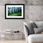 Misty Green Pine Forest Wall Art