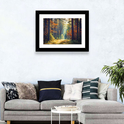 Sunlit Autumn Pine Forest Wall Art