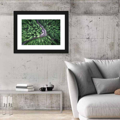 Aerial Forest Road Wall Art