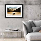 Moose at Waterton Lake Wall Art