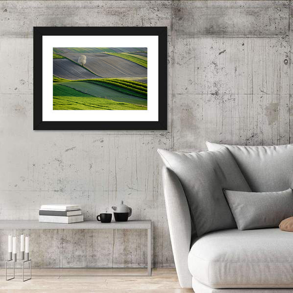 Springtime Polish Fields Wall Art