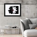 Black and White Daisy with Purple Ring Wall Art