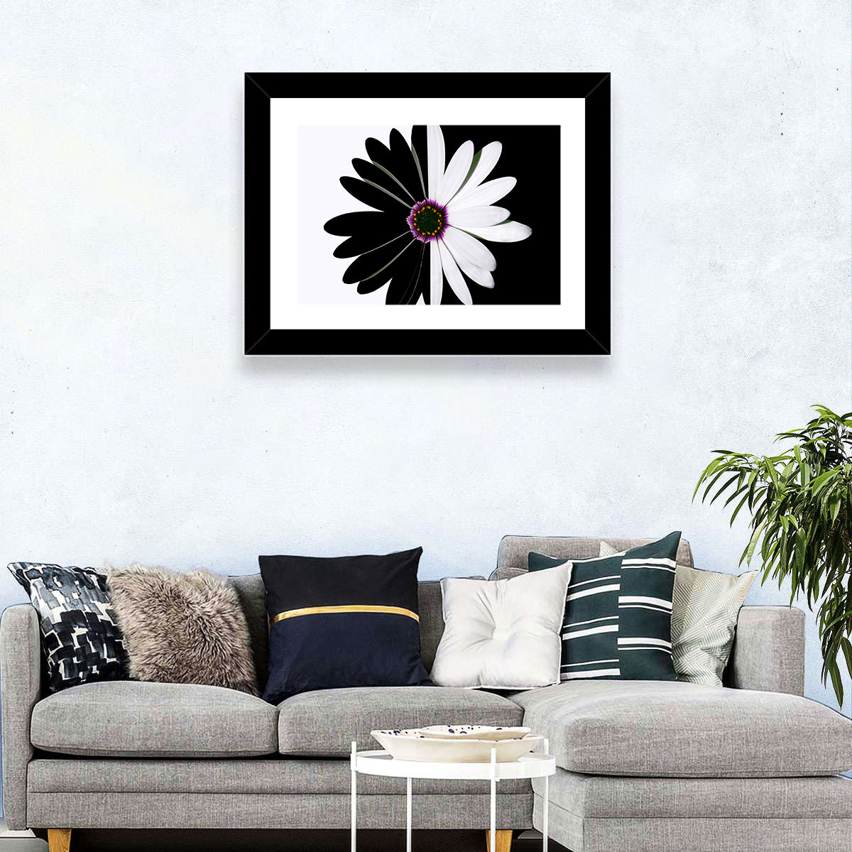 Black and White Daisy with Purple Ring Wall Art