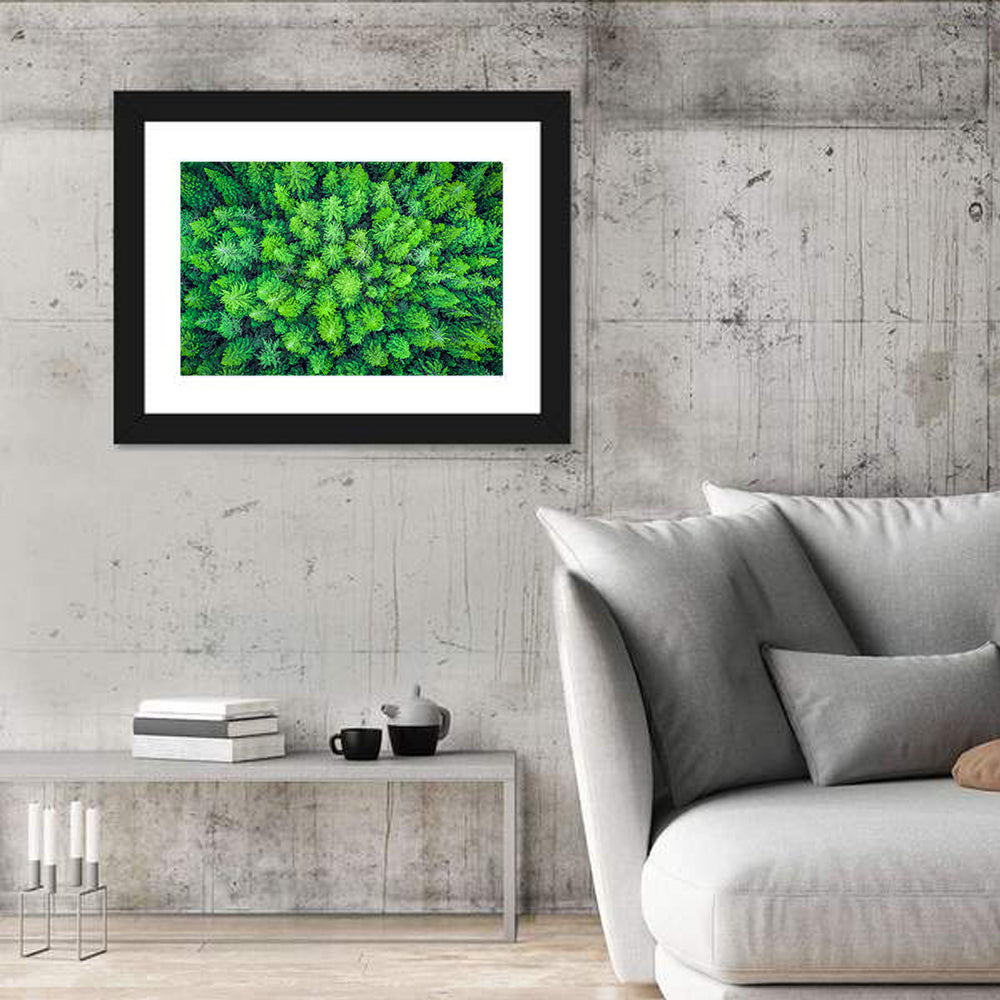 Whakarewarewa Forest Canopy Wall Art in a room, landscape