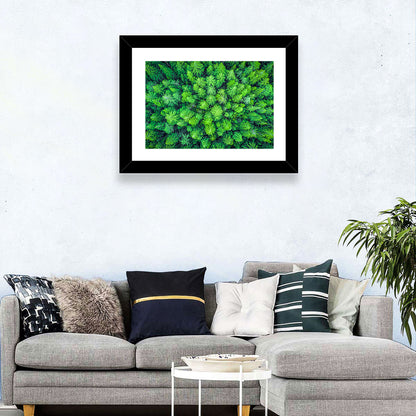 Whakarewarewa Forest Canopy Wall Art