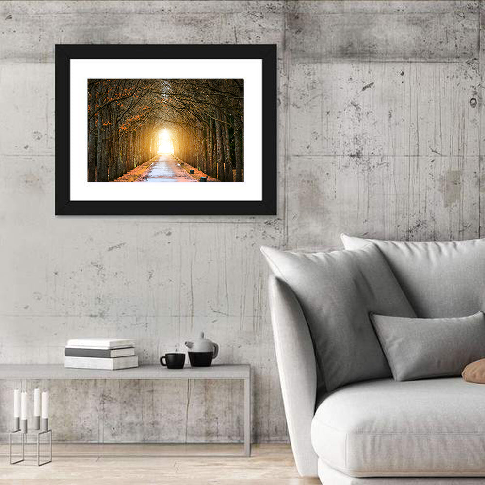 Autumn Oak Tunnel Wall Art in a room, landscape