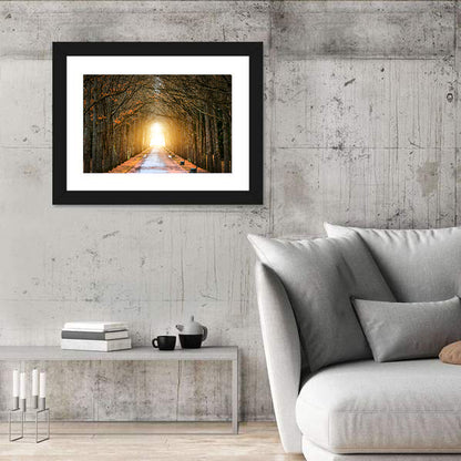 Autumn Oak Tunnel Wall Art