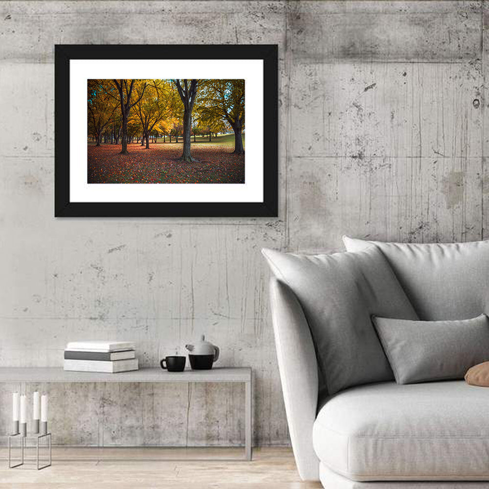 Autumn Park Trees, Pennsylvania Wall Art in a room, landscape