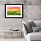 Amazon Rainforest Sunset Canopy Wall Art