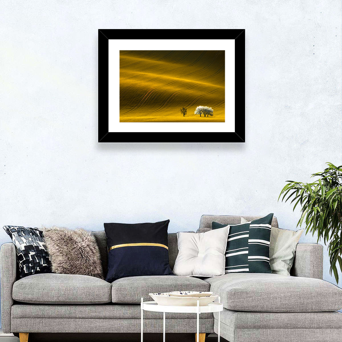 Golden Hour Rapeseed Field Wall Art