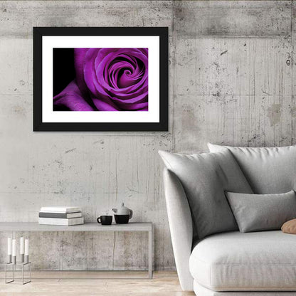 Purple Rose Close-up Wall Art