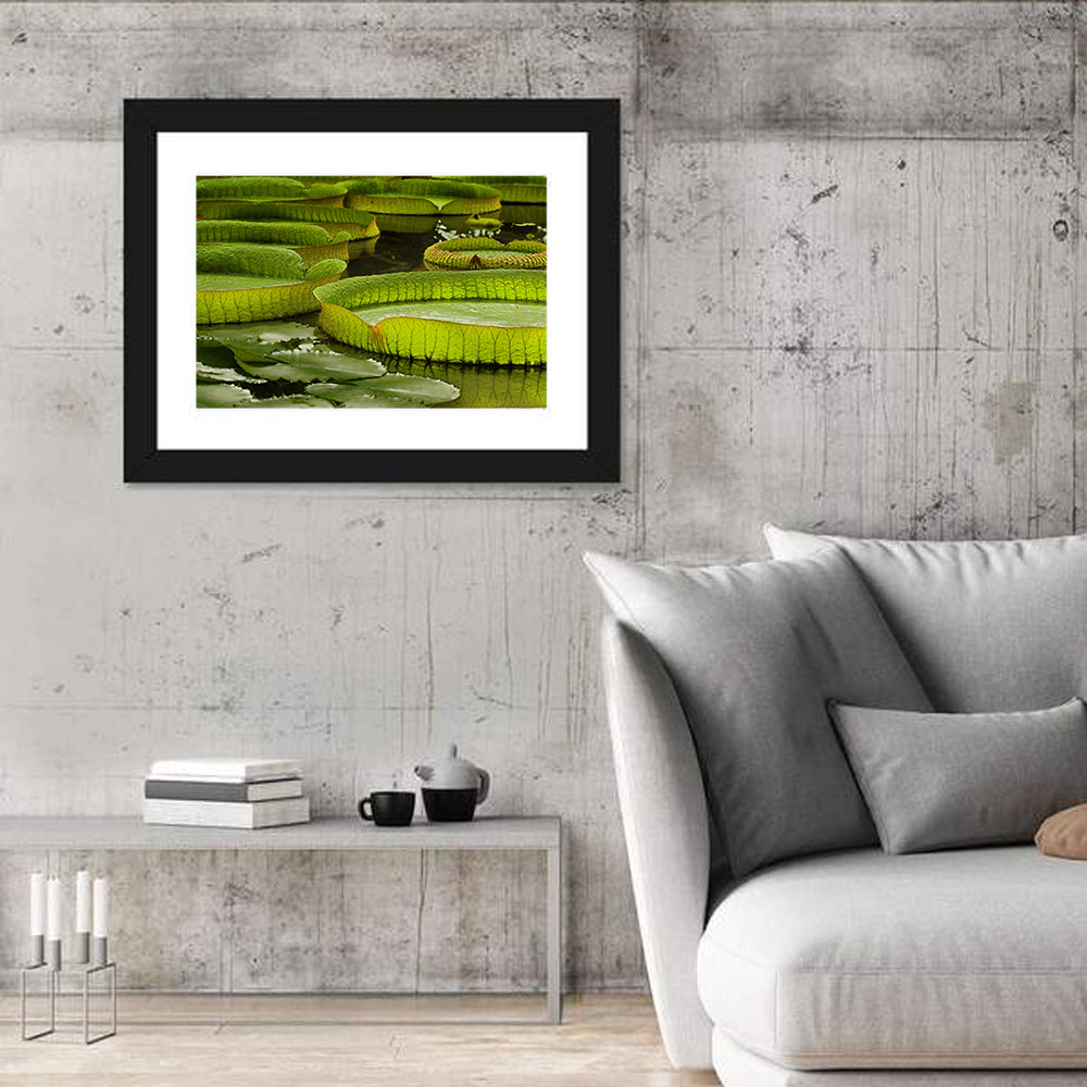 Giant Victoria Amazonica Lily Pads Wall Art in a room, landscape