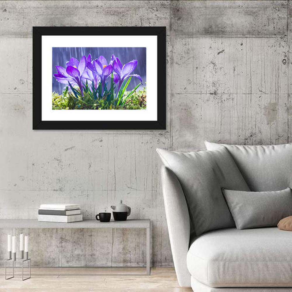 Rainy Purple Crocuses Wall Art in a room, landscape