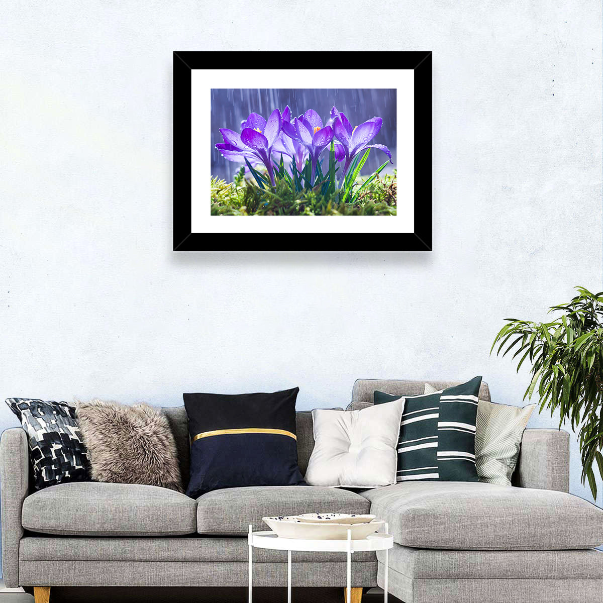 Rainy Purple Crocuses Wall Art