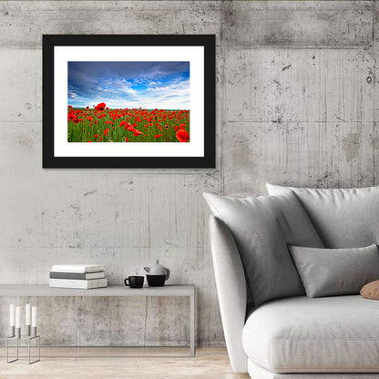 Red Poppy Field Wall Art