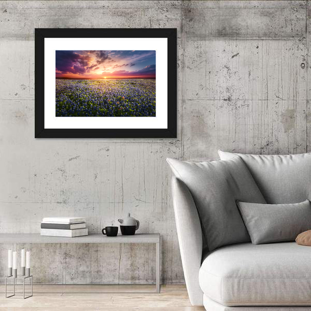 Texas Bluebonnet Sunset Wall Art
