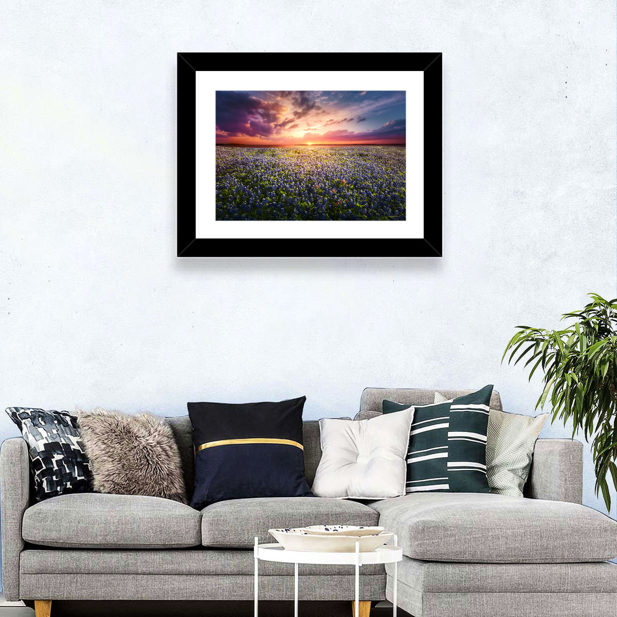 Texas Bluebonnet Sunset Wall Art