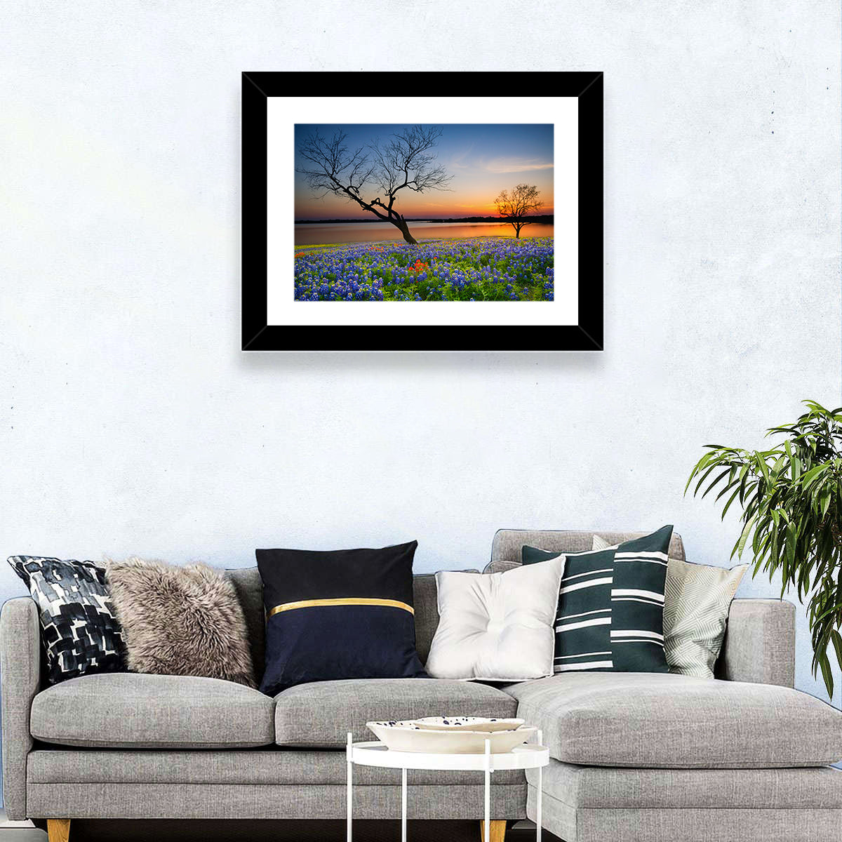 Texas Bluebonnet Sunset Wall Art