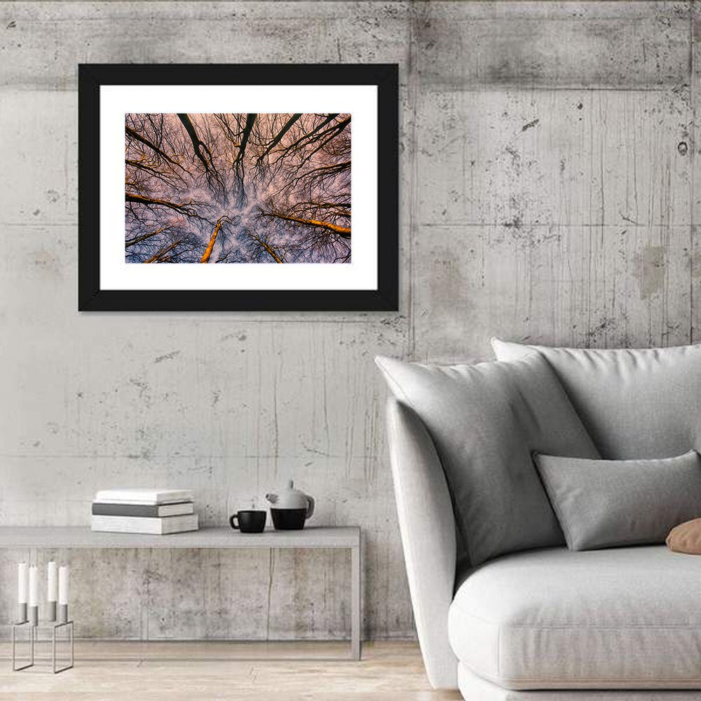 Misty Forest Canopy Wall Art in a room, landscape