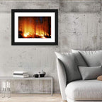 Night Forest Fire Wall Art
