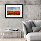 Poppy Field with Double Rainbow Wall Art