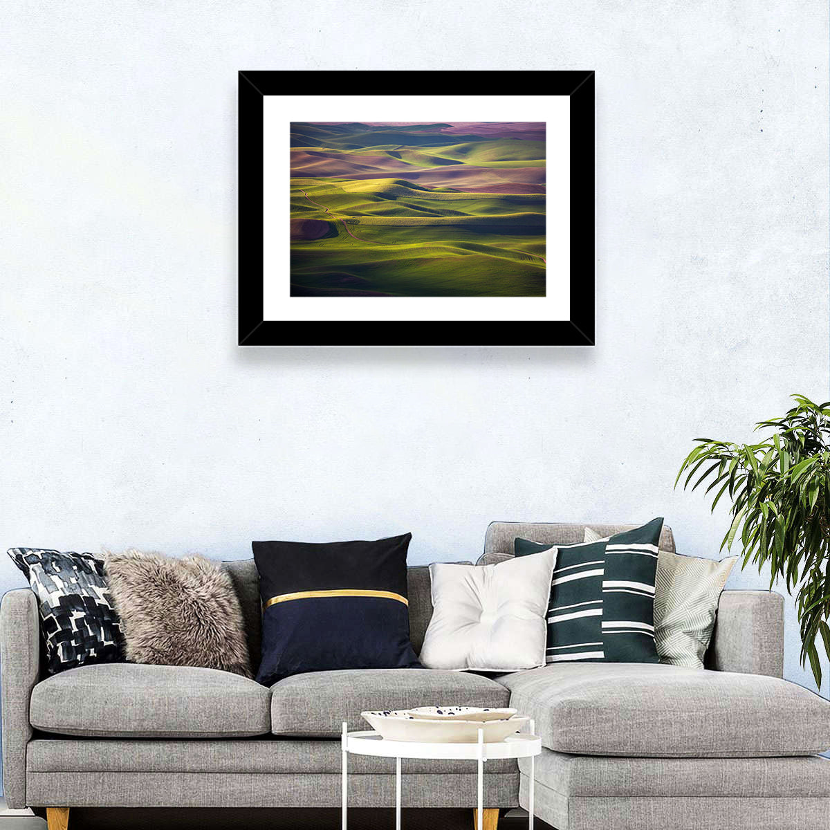 Palouse Farmland at Golden Hour Wall Art in a room, landscape